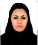 مهندس فرناز